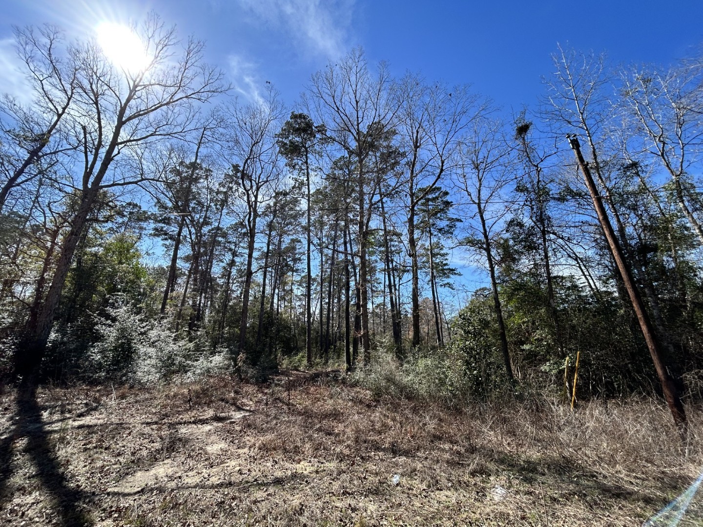 Lot 35 N Friar Tuck Drive Woodville TX 75979