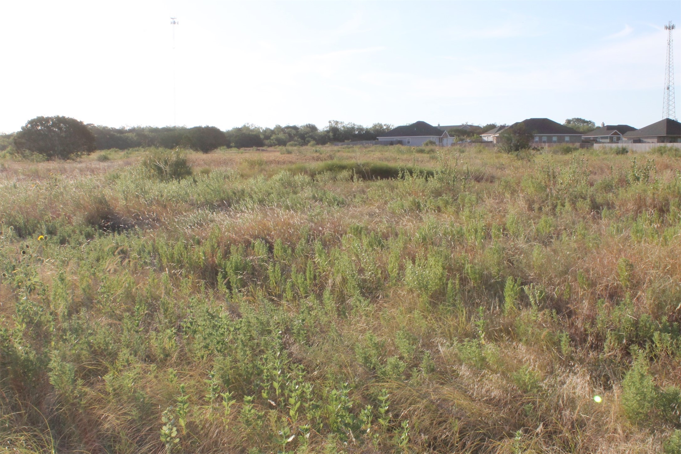 Tbd Us-83 Tuscola TX 79562