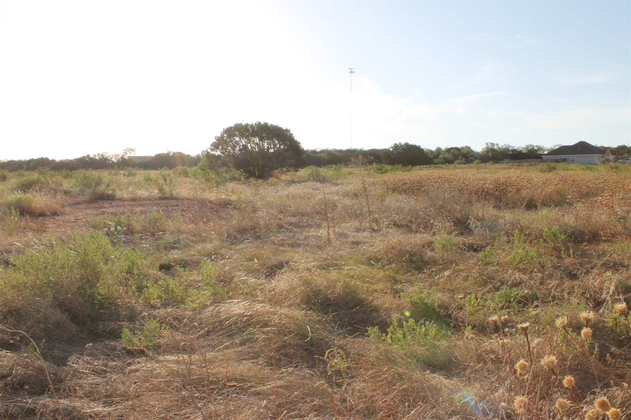 Tbd Us-83 Tuscola TX 79562