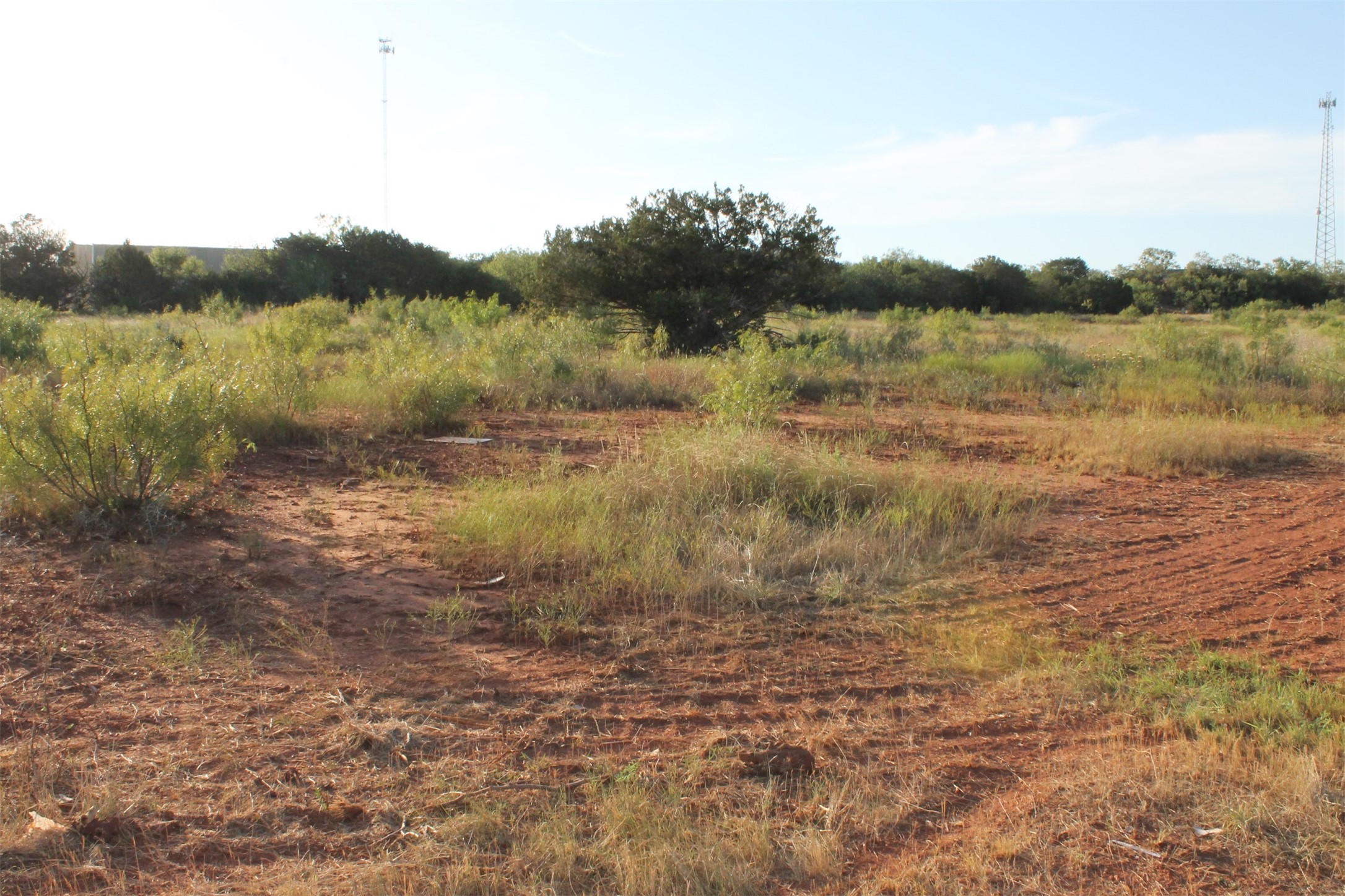 Tbd Us-83 Tuscola TX 79562