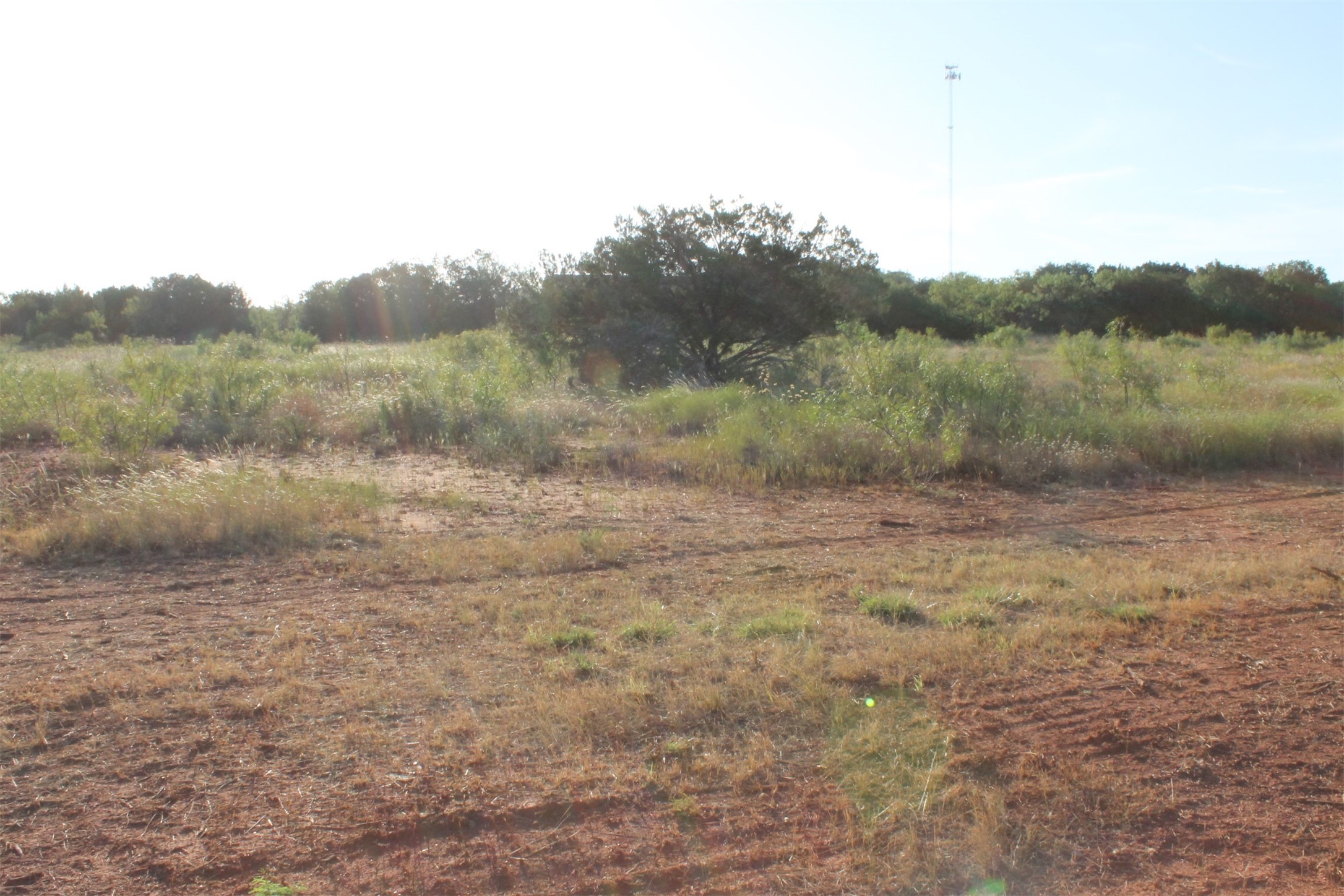 Tbd Us-83 Tuscola TX 79562