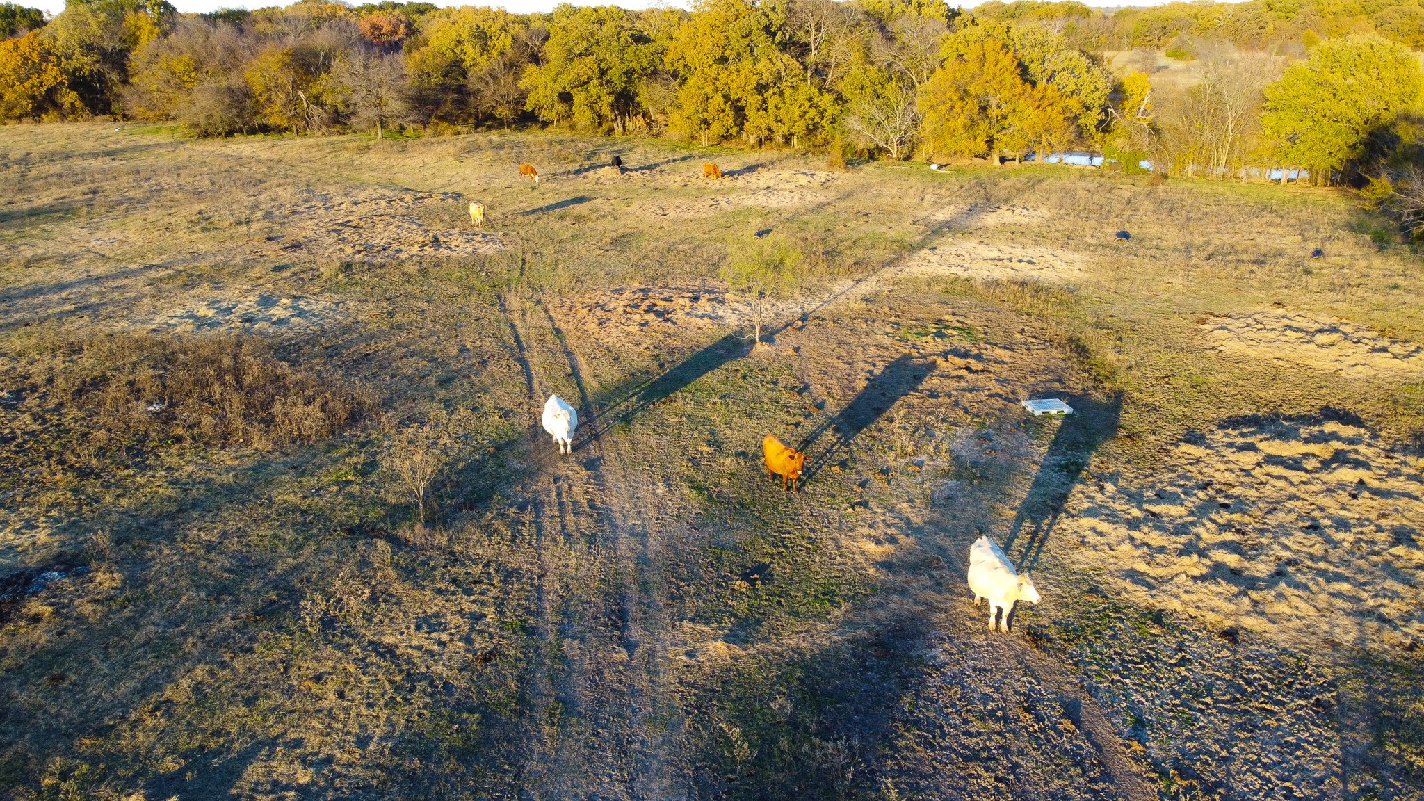 0000 County Road 4095 Kaufman TX 75142