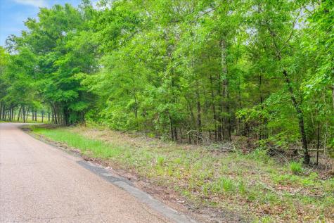 Tbd Vz County Road 2205 Canton TX 75103