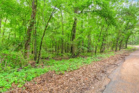 Tbd Vz County Road 2205 Canton TX 75103