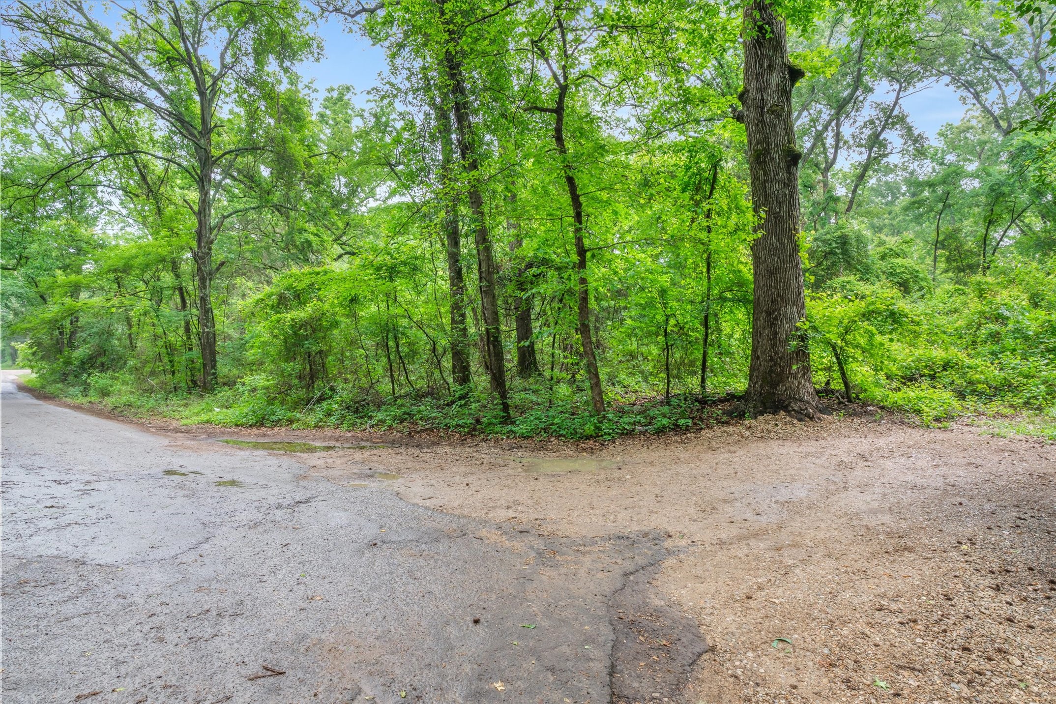 Tbd Vz County Road 2205 Canton TX 75103