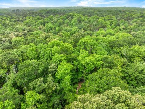 Tbd Vz County Road 2205 Canton TX 75103