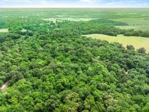 Tbd Vz County Road 2205 Canton TX 75103