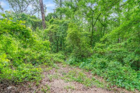 Tbd Vz County Road 2205 Canton TX 75103