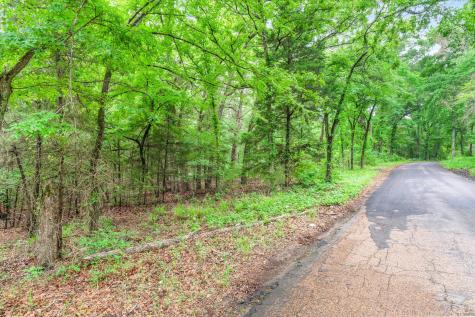 Tbd Vz County Road 2205 Canton TX 75103