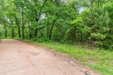 Tbd Vz County Road 2205 Canton TX 75103