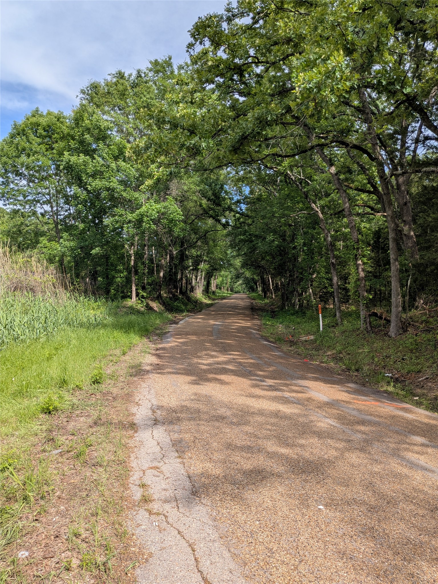 110 Vz County Road 1129 Fruitvale TX 75127