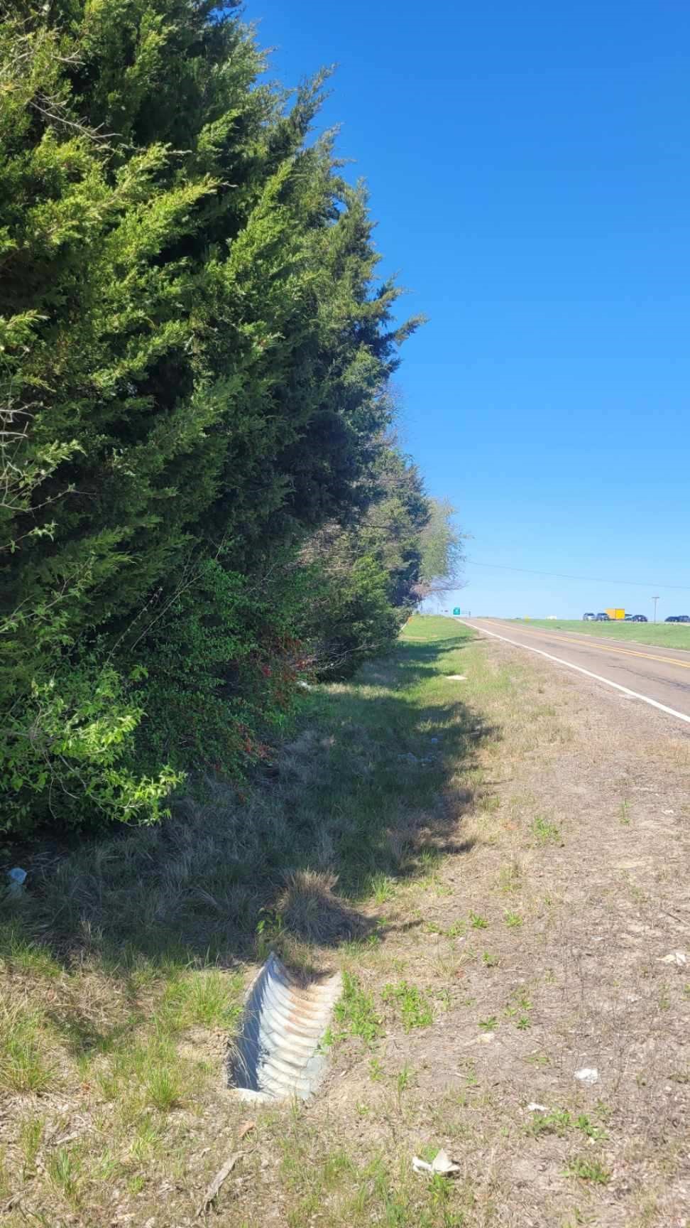 Lot 3 I-45 Palmer TX 75152