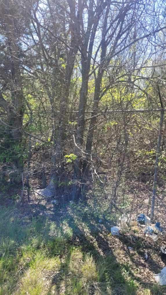 Lot 3 I-45 Palmer TX 75152