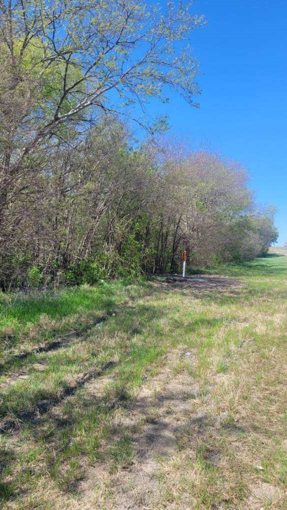Lot 3 I-45 Palmer TX 75152