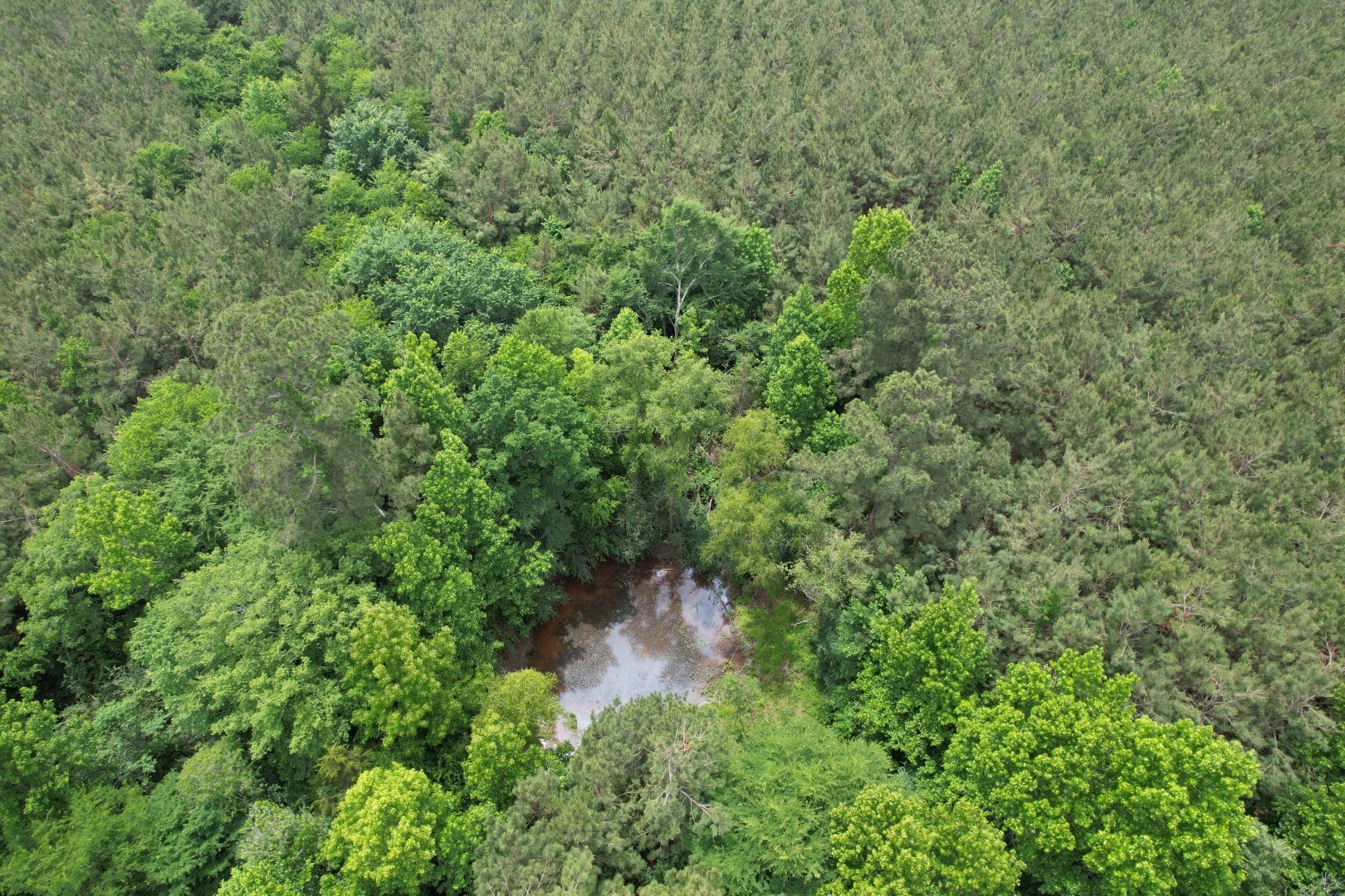 Tbd-a County Road 3163 Laneville TX 75667