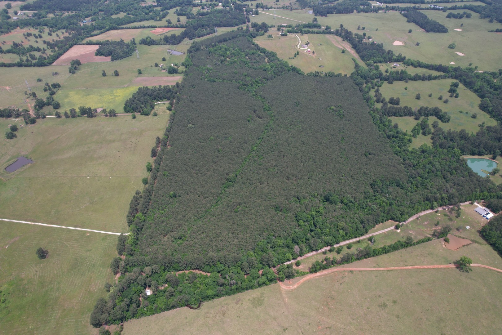 Tbd-a County Road 3163 Laneville TX 75667
