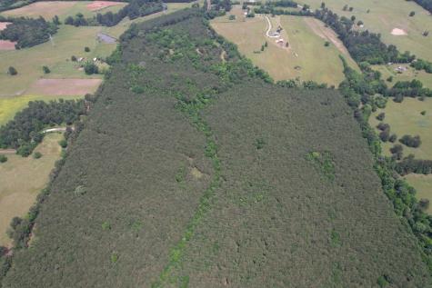 Tbd-a County Road 3163 Laneville TX 75667