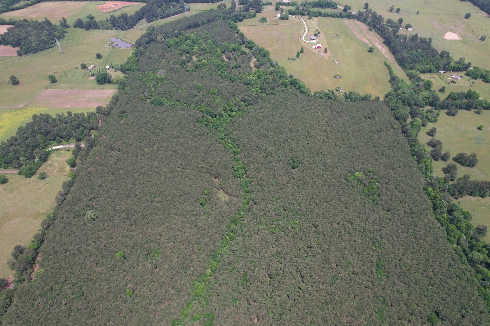 Tbd-a County Road 3163 Laneville TX 75667