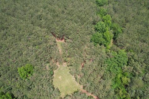 Tbd-a County Road 3163 Laneville TX 75667