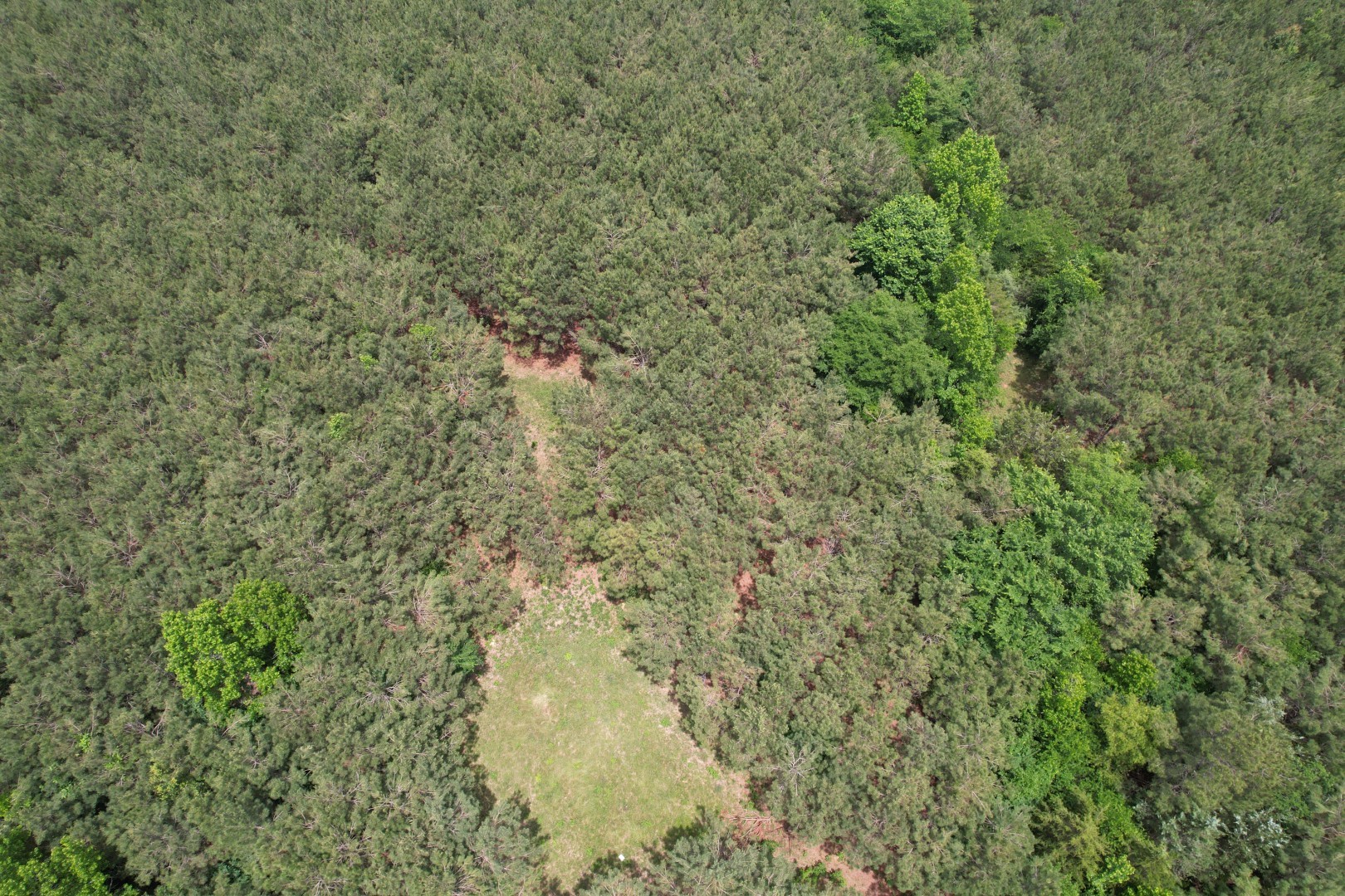 Tbd-a County Road 3163 Laneville TX 75667