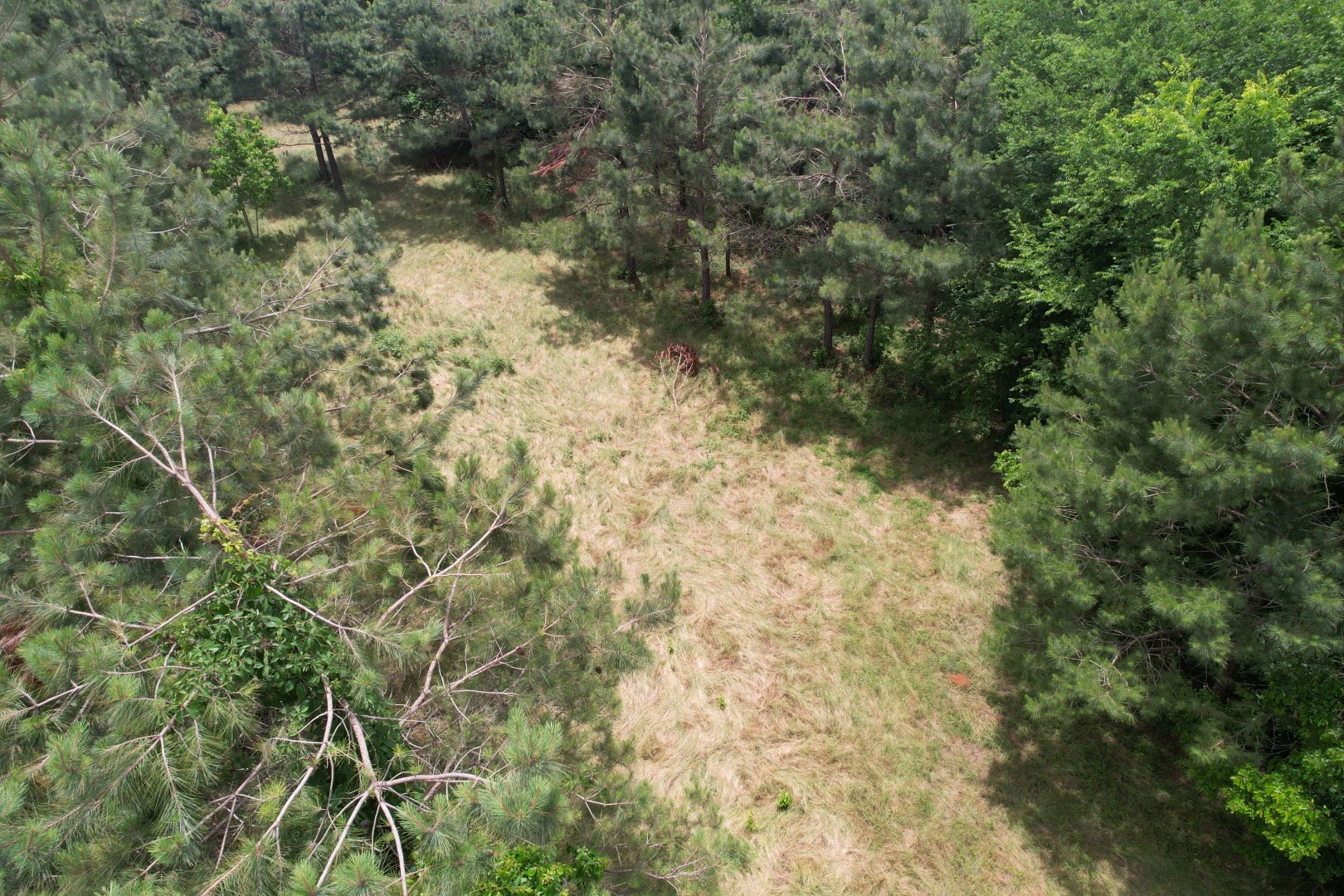 Tbd-a County Road 3163 Laneville TX 75667
