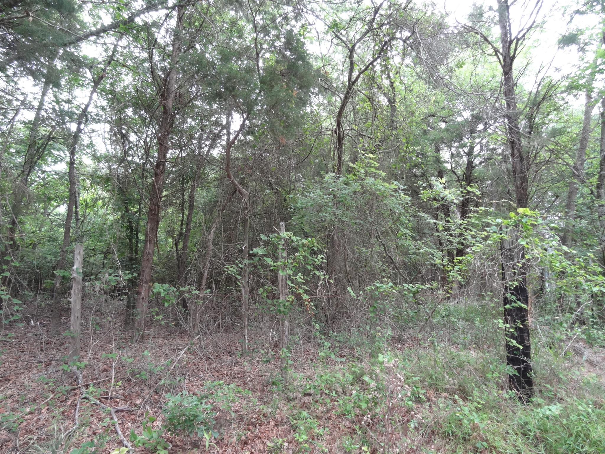 000 Vz Cr 2908 Eustace TX 75124