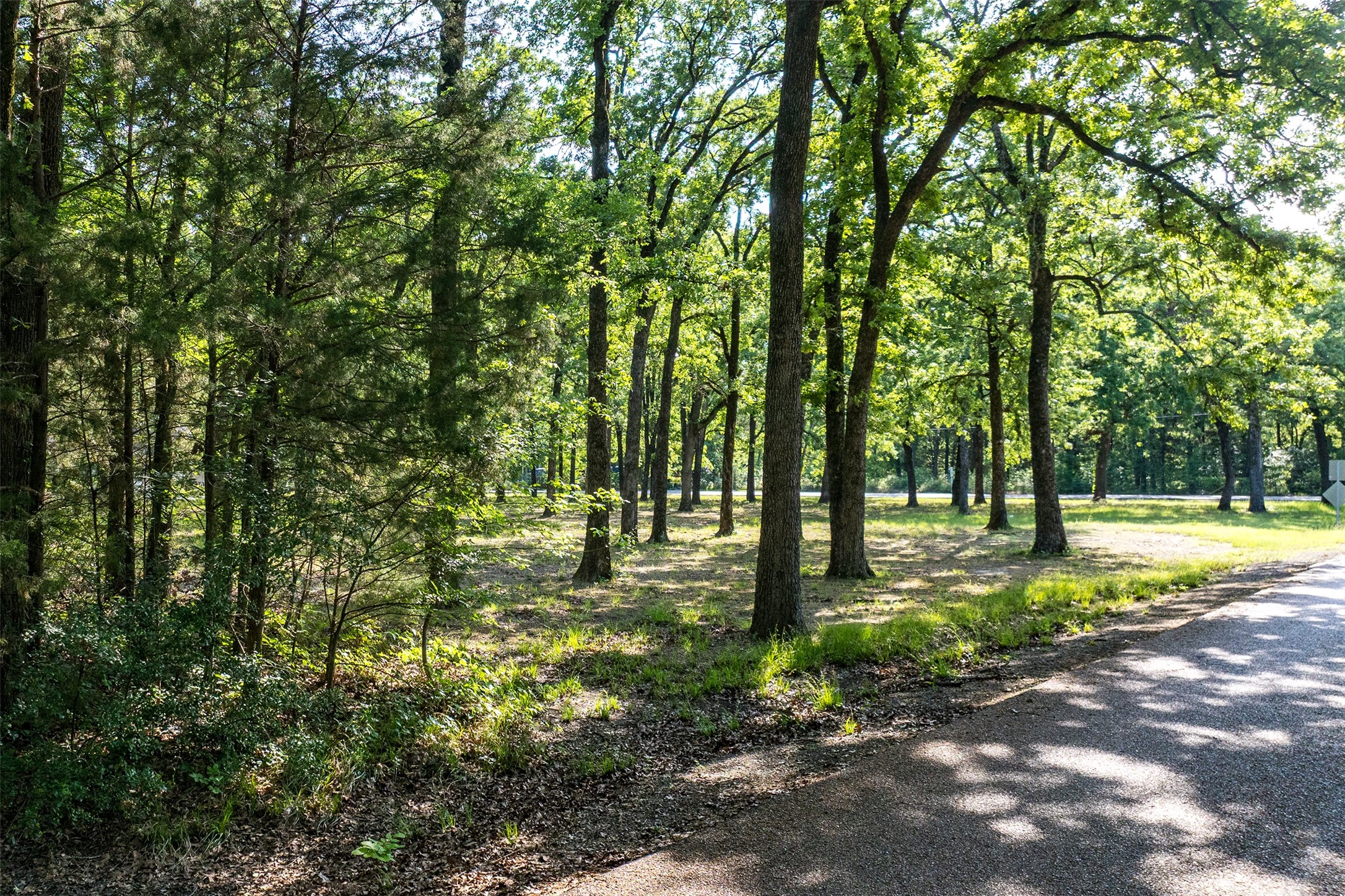 104 Lark Drive Enchanted Oaks TX 75156