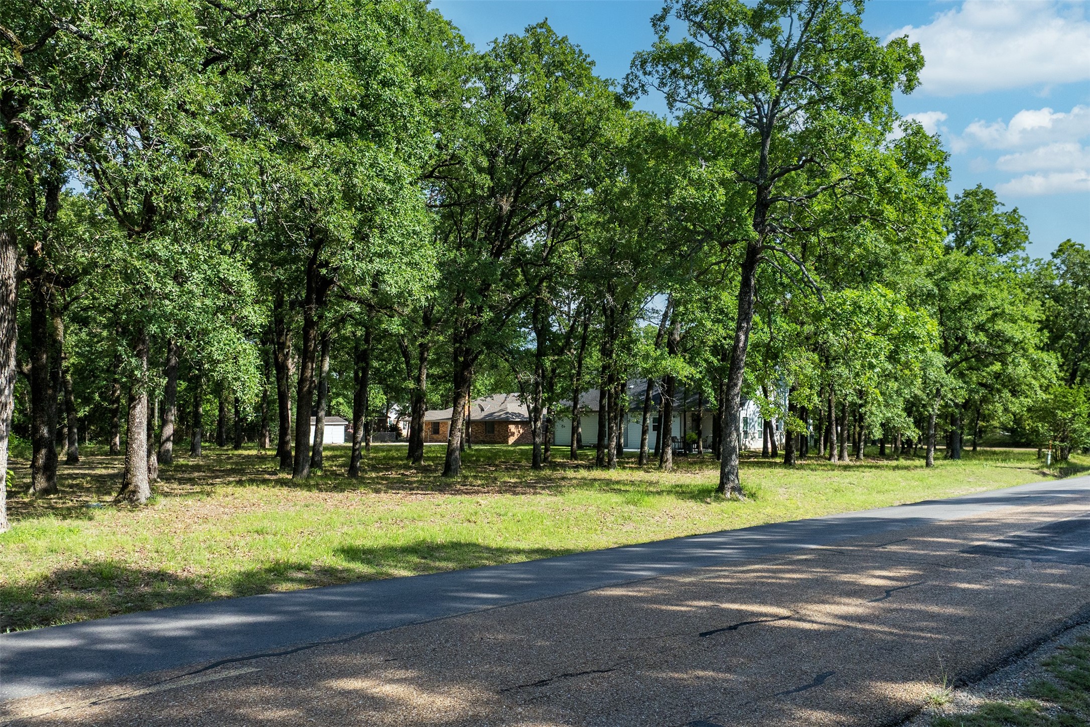 104 Lark Drive Enchanted Oaks TX 75156