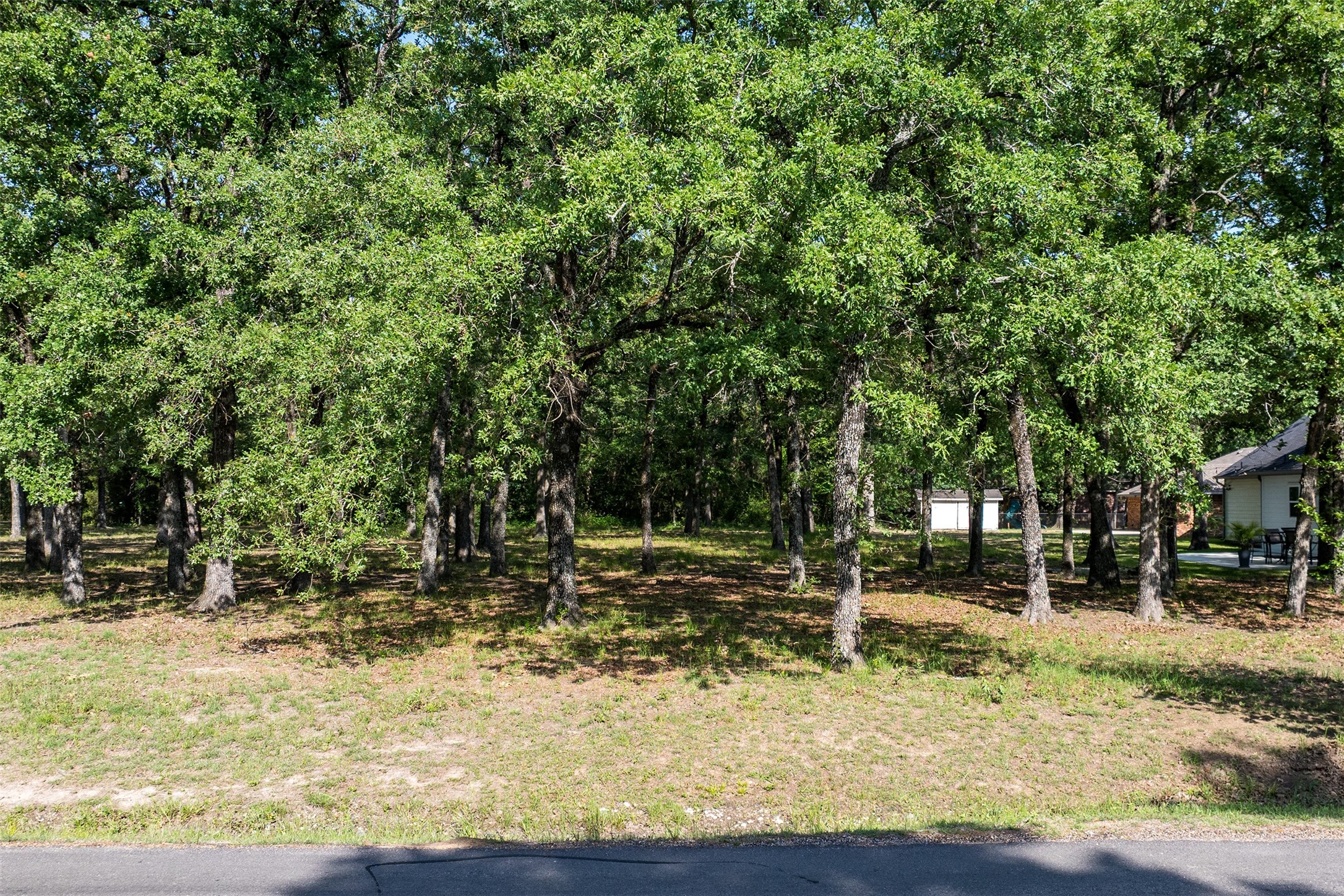104 Lark Drive Enchanted Oaks TX 75156
