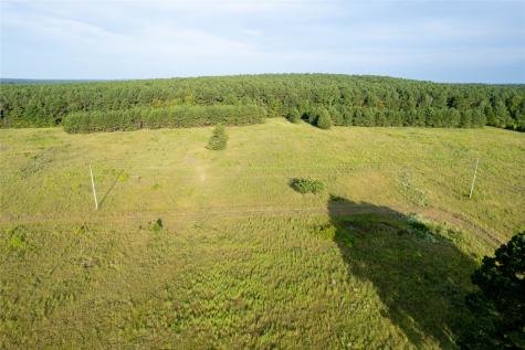 Lake Country (Lot 17) Tx-77 Atlanta TX 75551