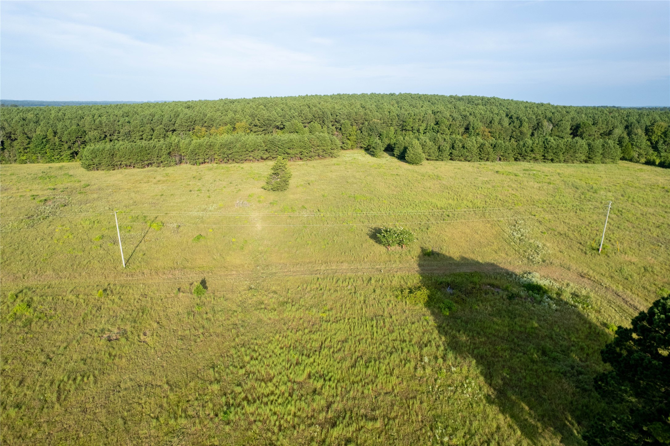 Lake Country (Lot 17) Tx-77 Atlanta TX 75551