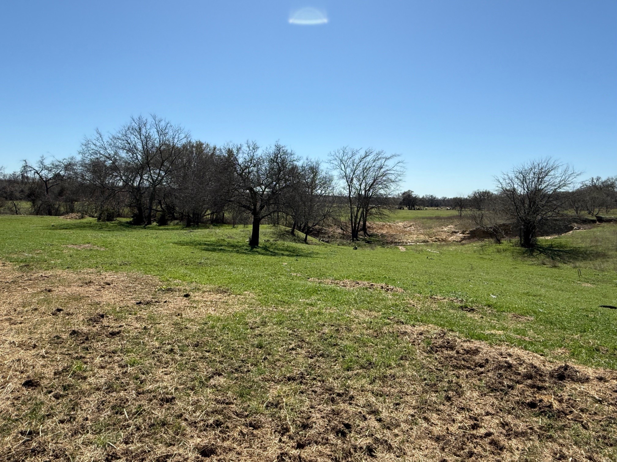 37.94 Ac Highway 287 Alvord TX 76225
