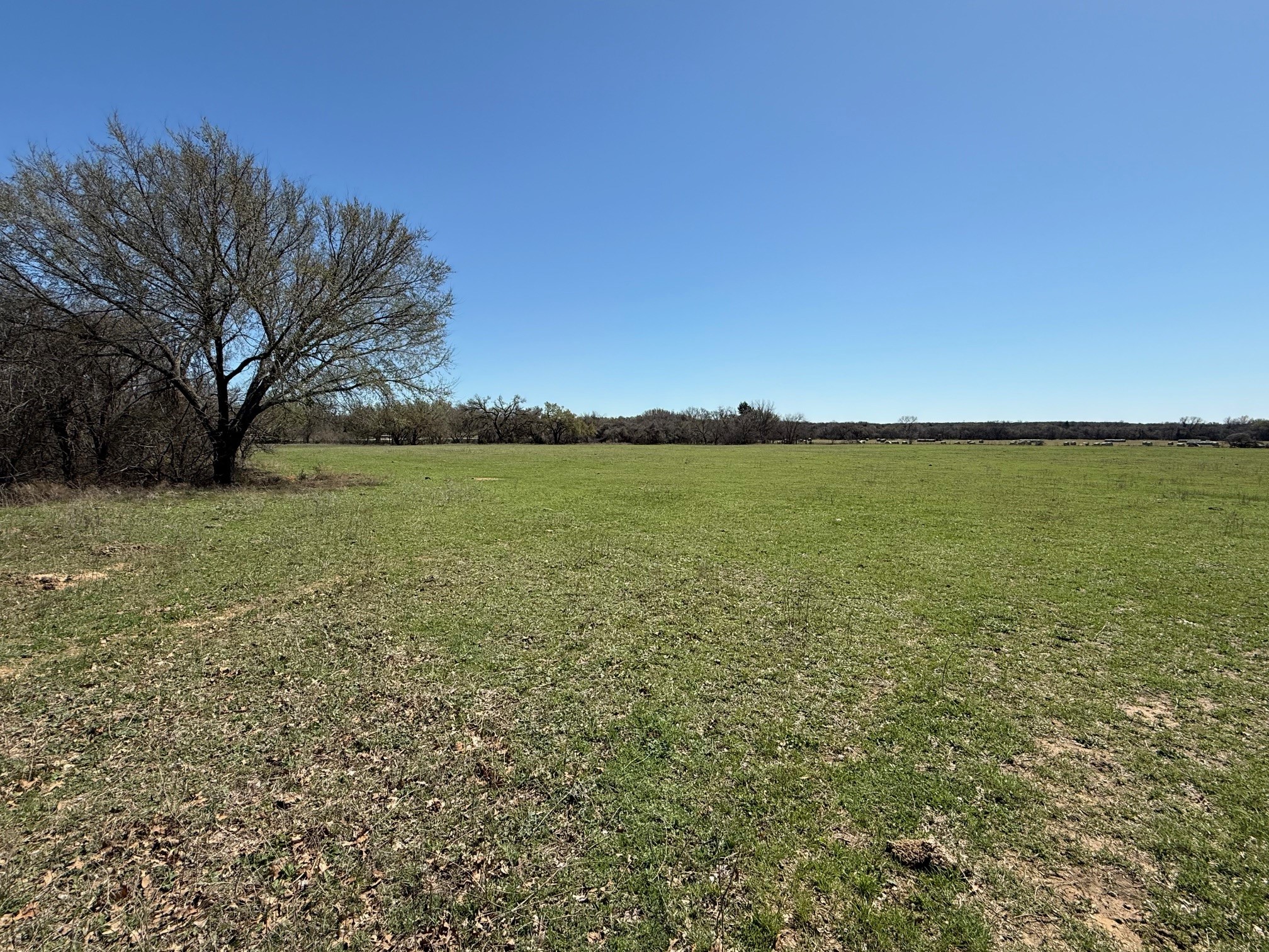 37.94 Ac Highway 287 Alvord TX 76225