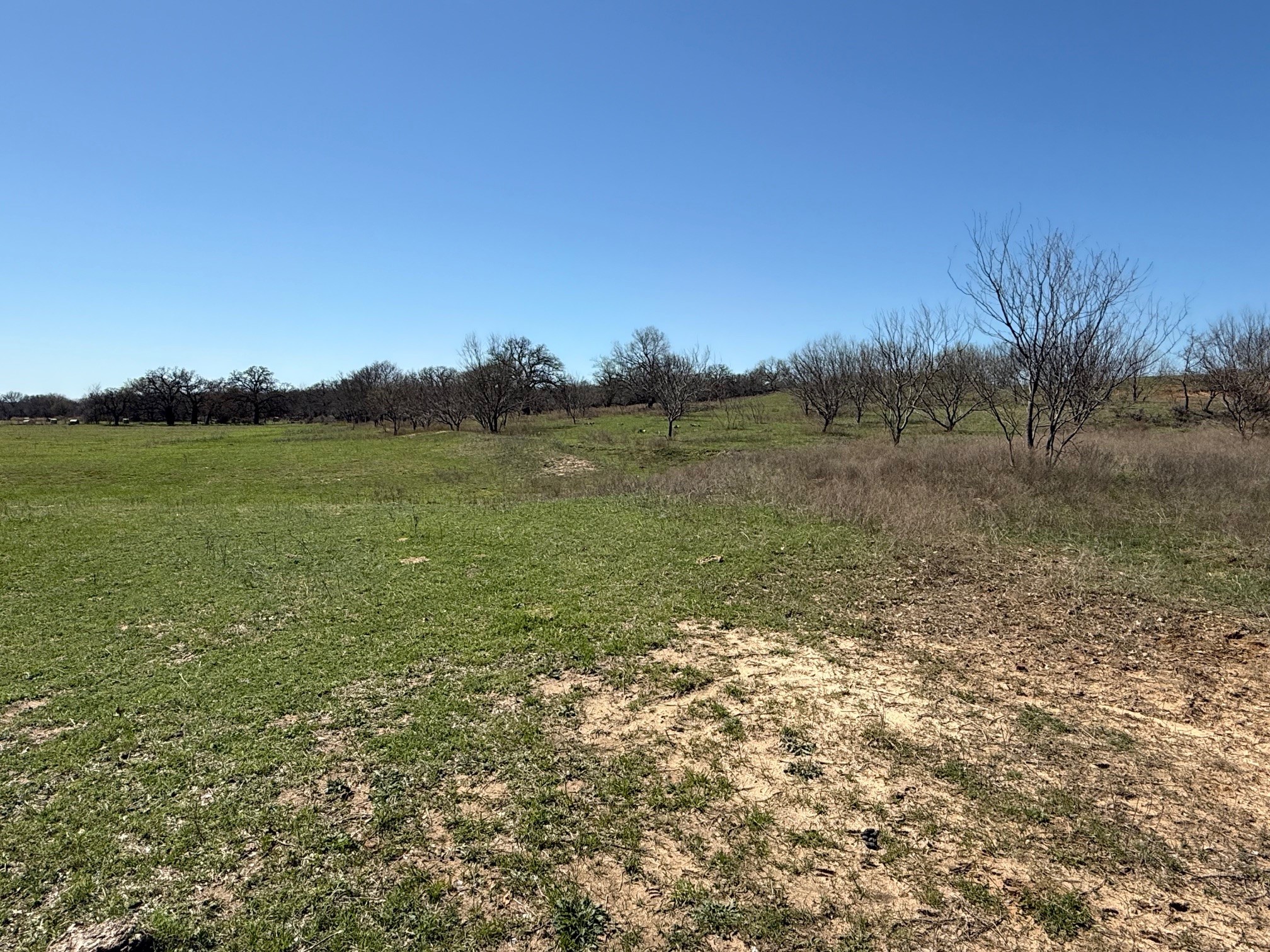 37.94 Ac Highway 287 Alvord TX 76225