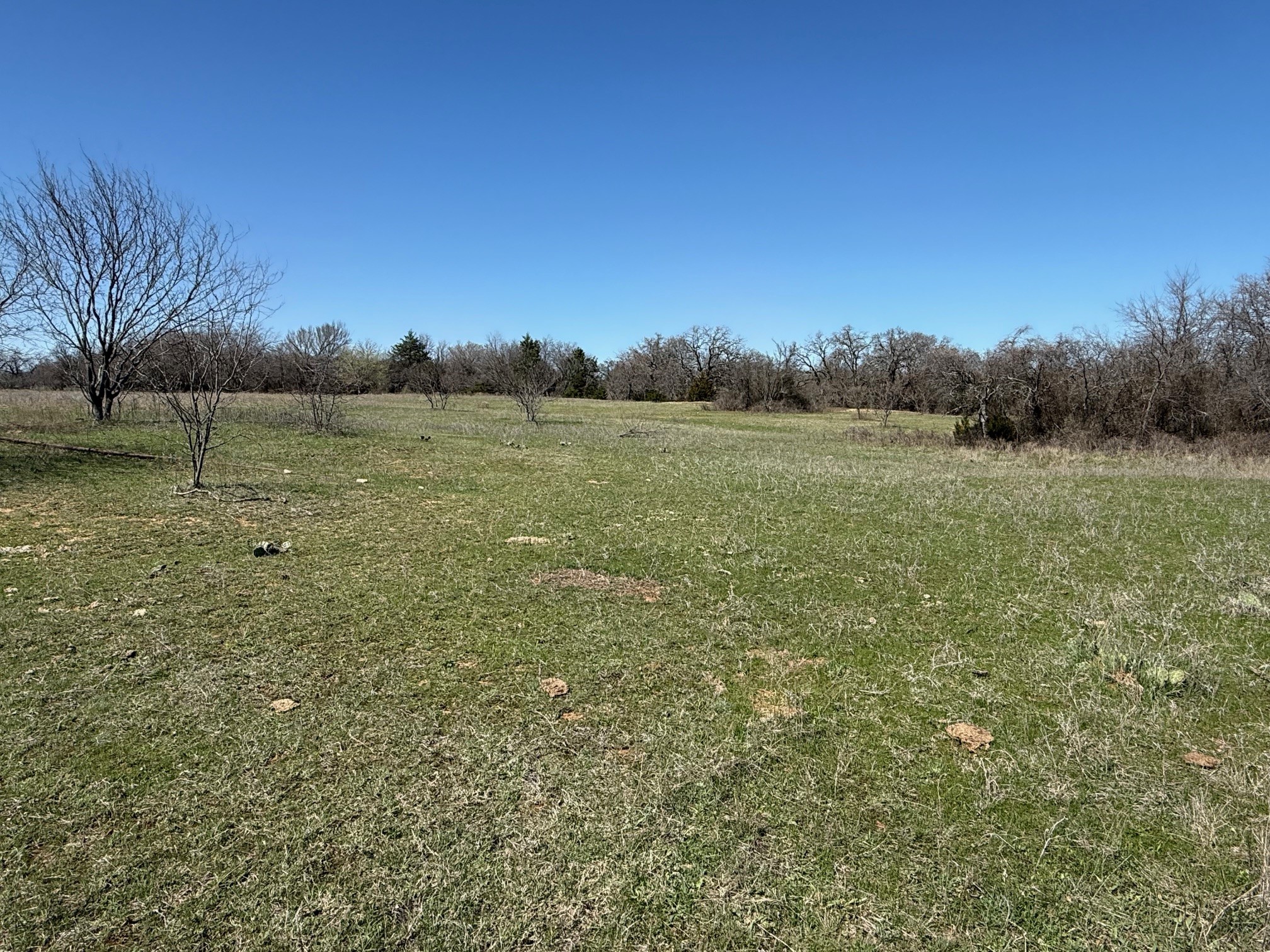 37.94 Ac Highway 287 Alvord TX 76225