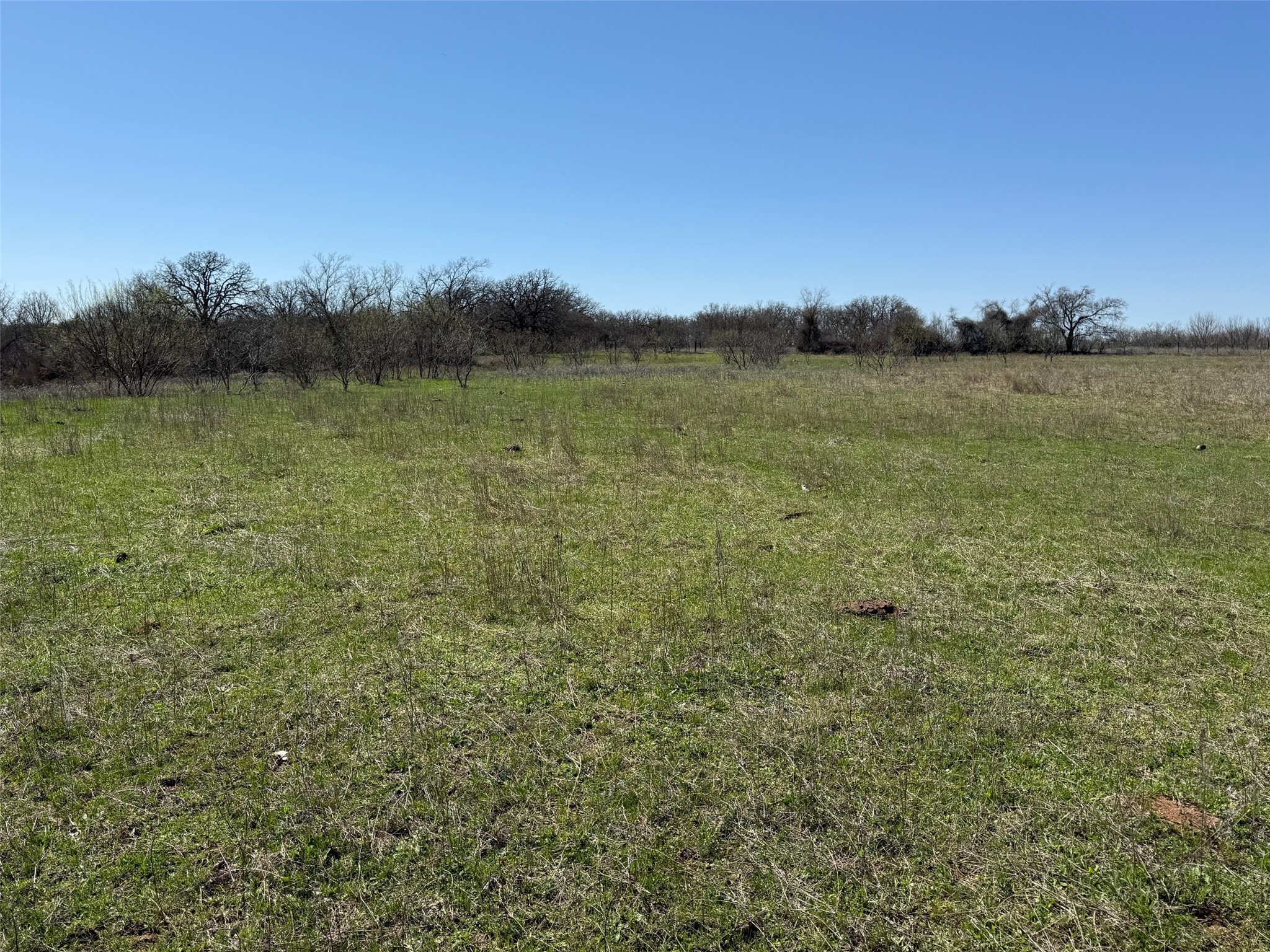 37.94 Ac Highway 287 Alvord TX 76225