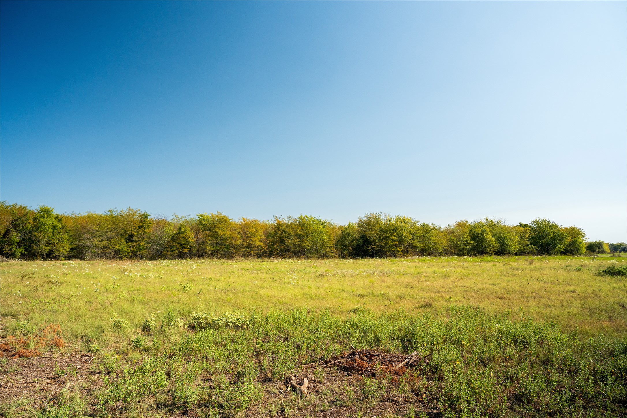 Na County Road 3660 Ladonia TX 75449