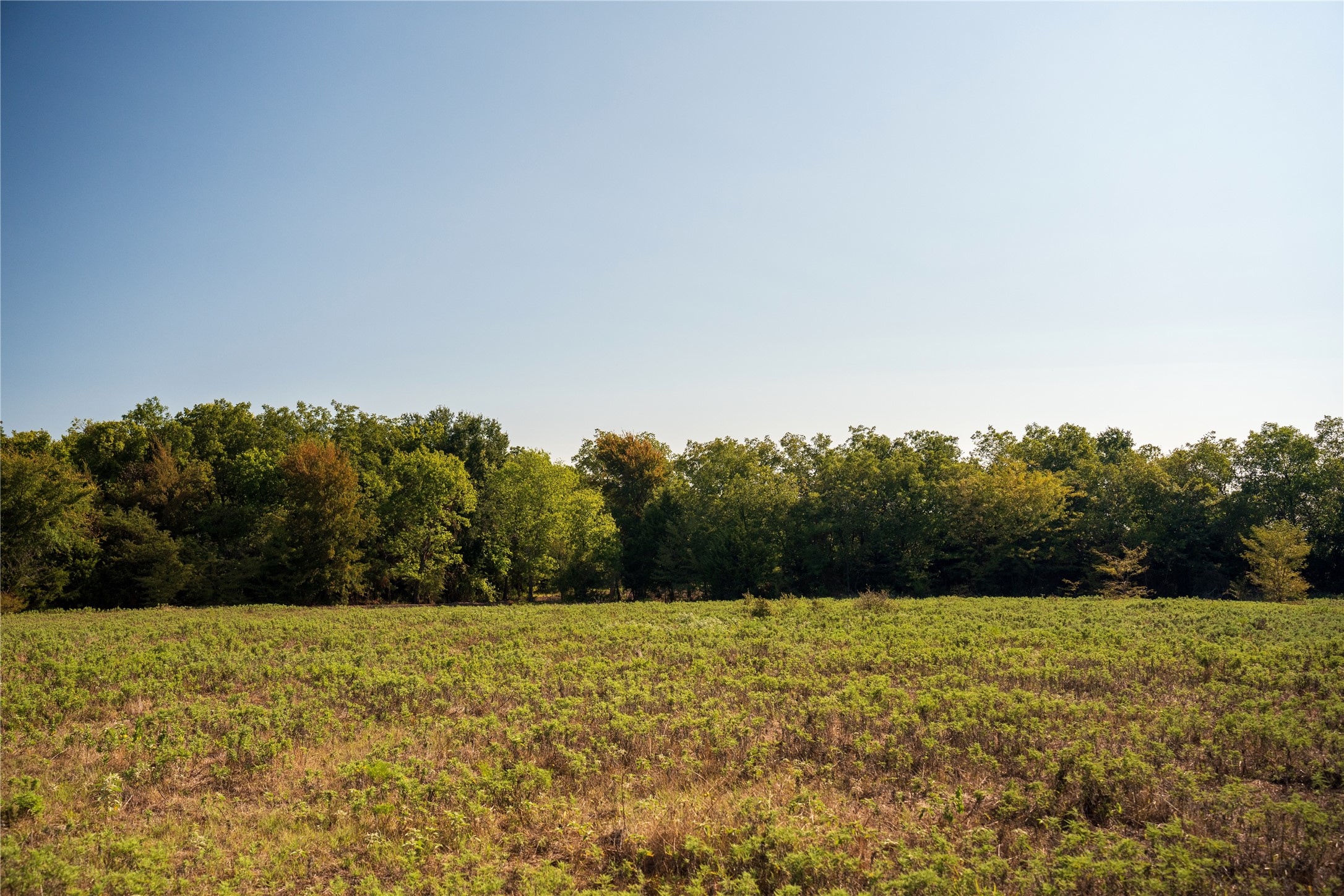 Na County Road 3660 Ladonia TX 75449