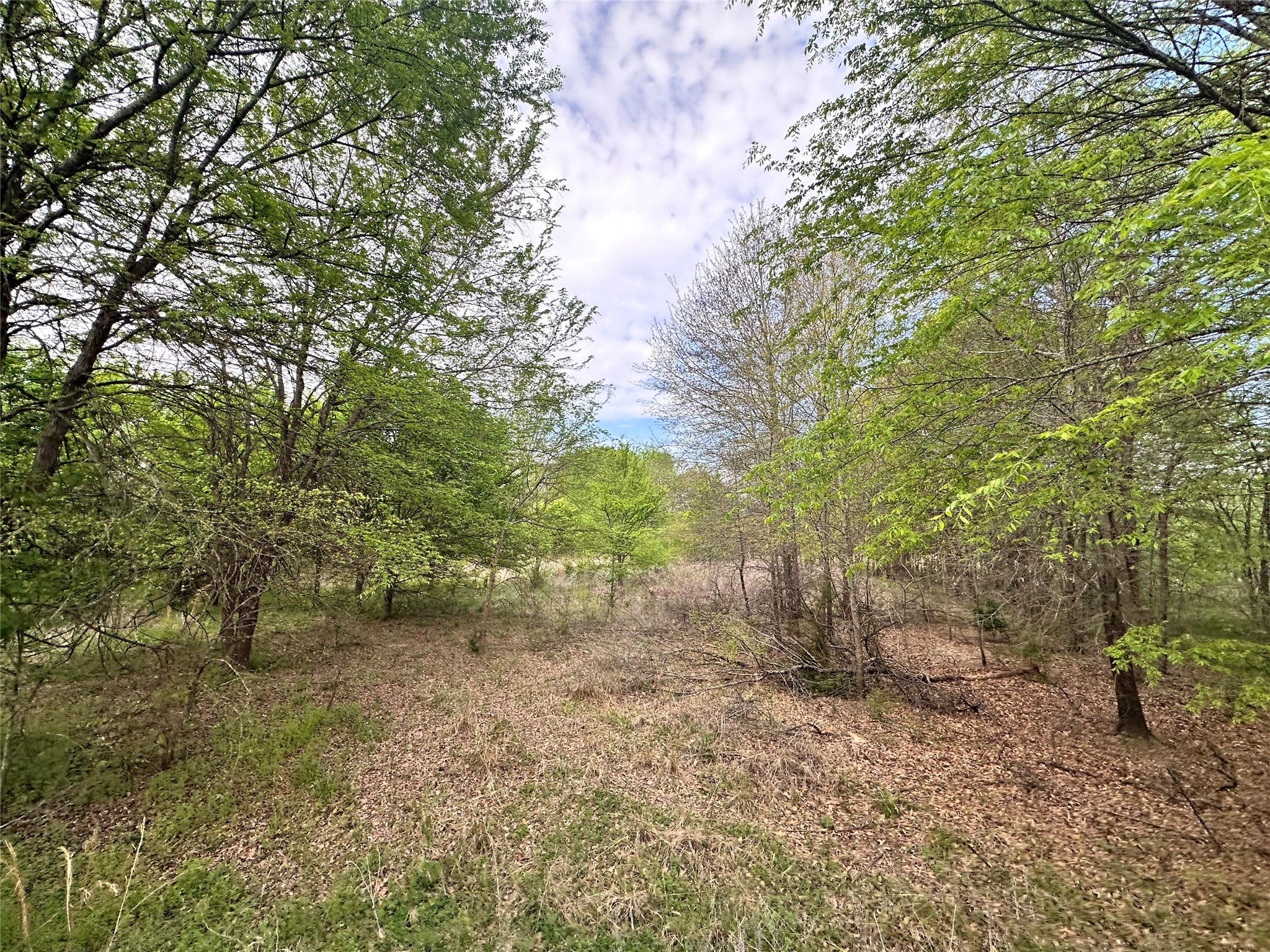 0 Cr 3508 Murchison TX 75756
