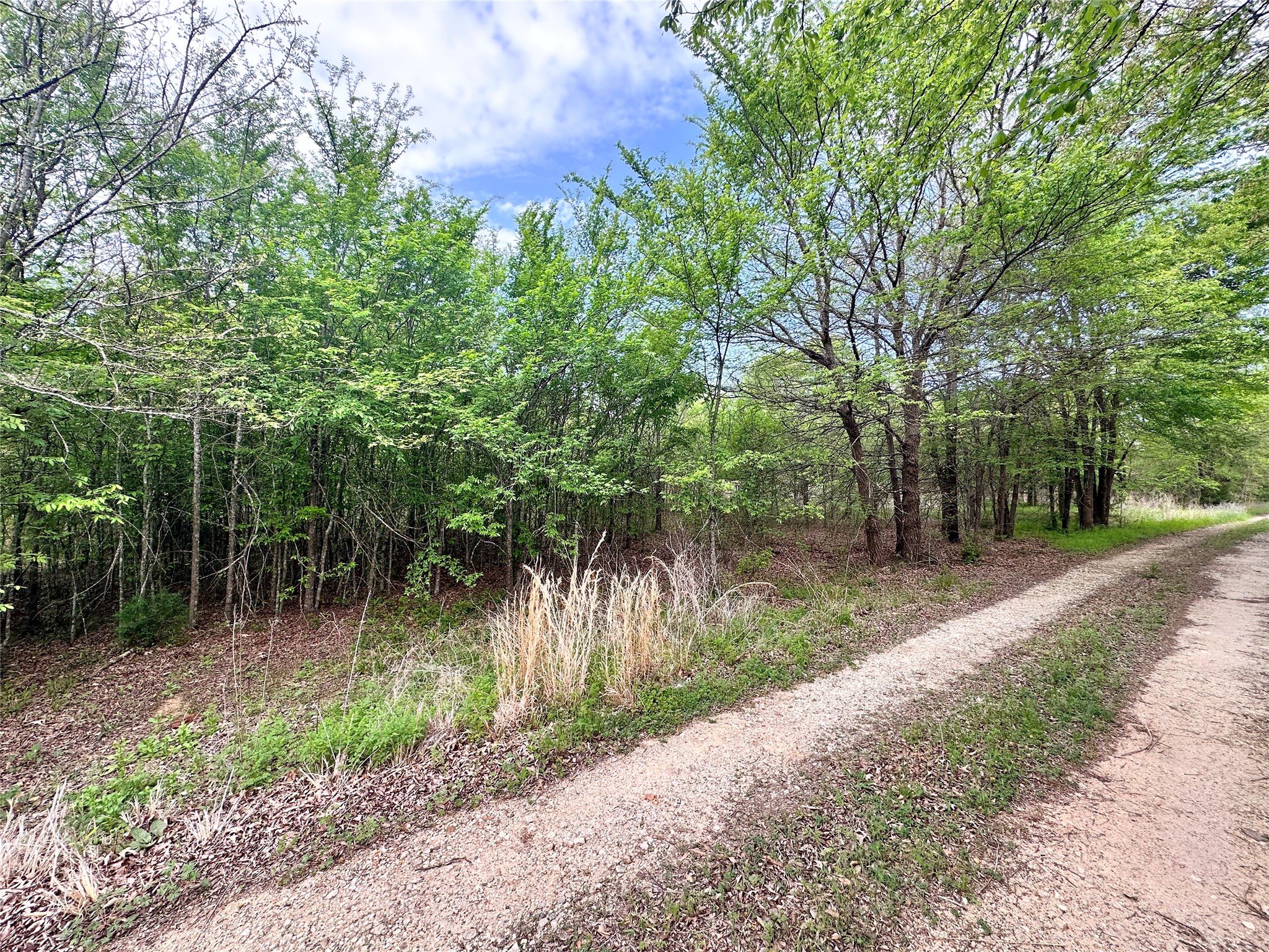0 Cr 3508 Murchison TX 75756
