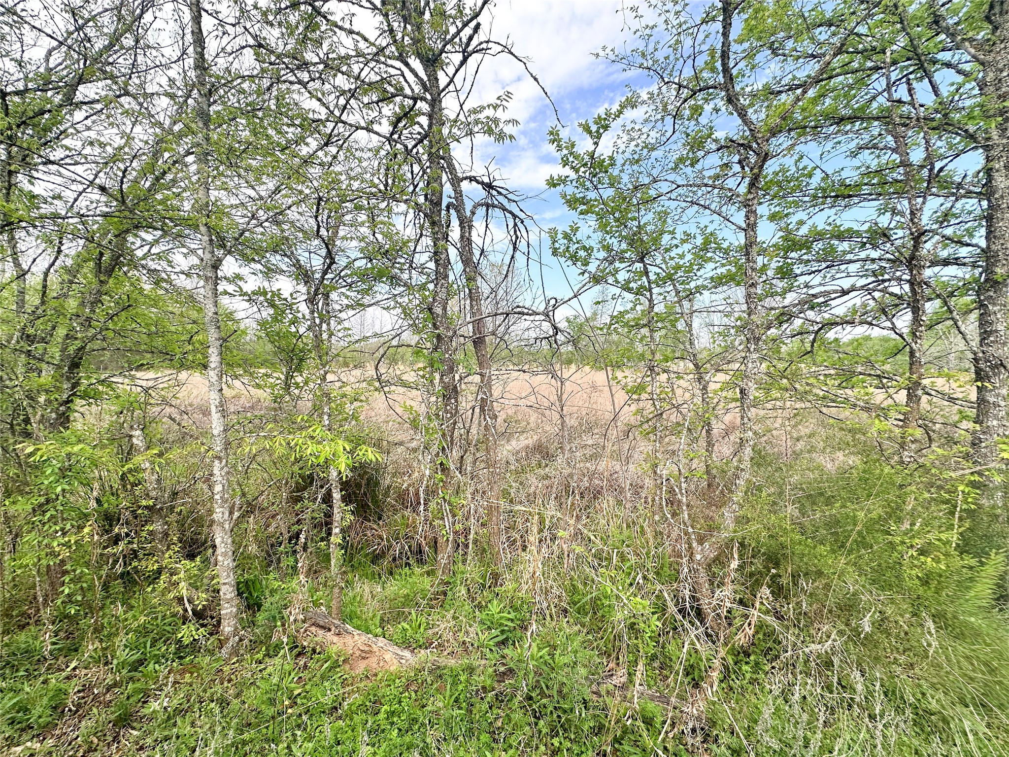 0 Cr 3508 Murchison TX 75756