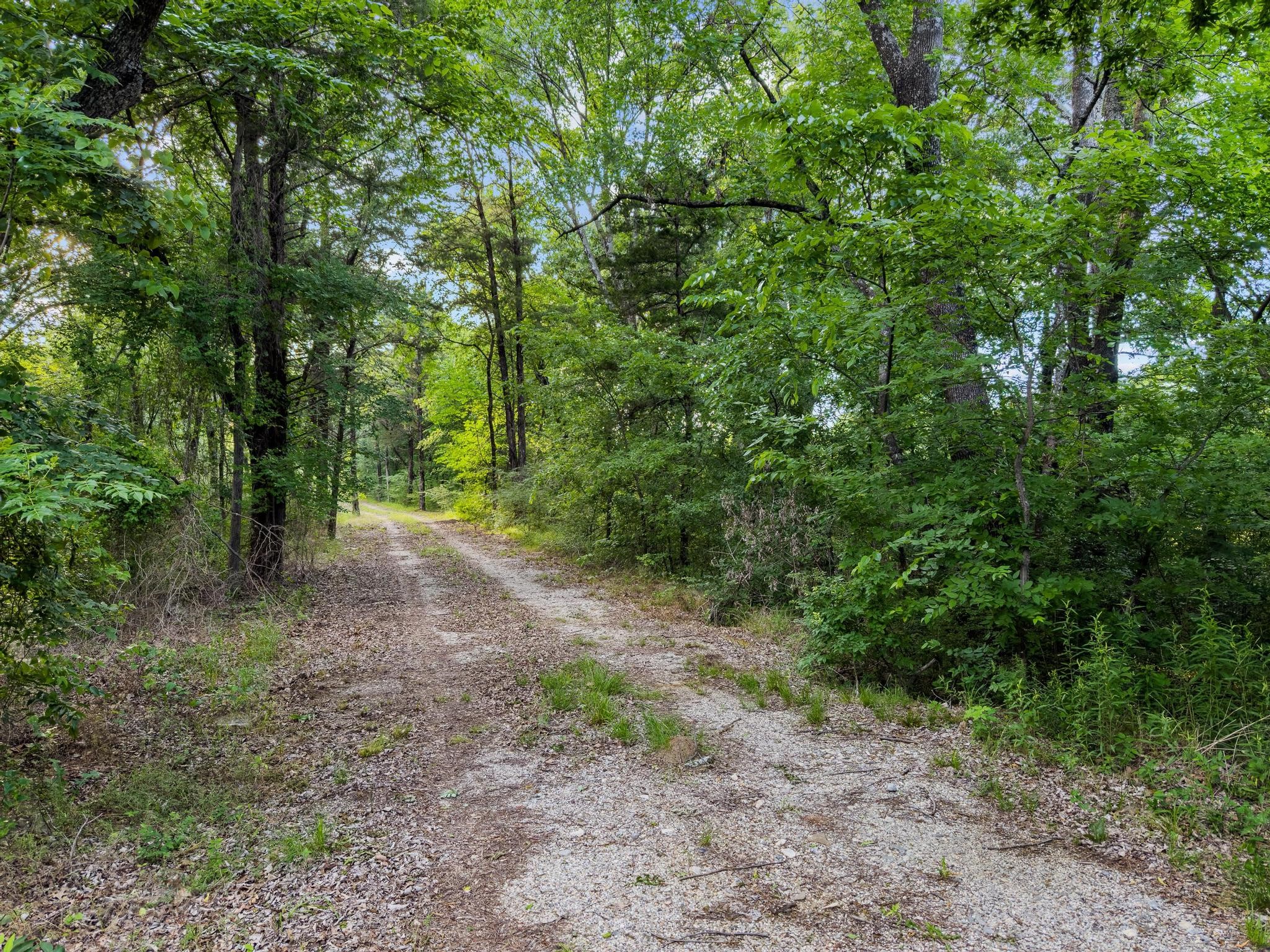 TBD-2 Singletree Road Denison TX 75021