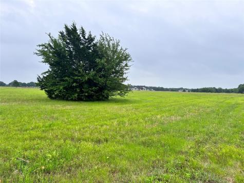 Lot 392 Polaris Drive Corsicana TX 75109