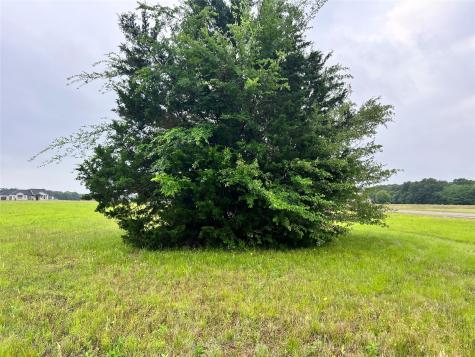 Lot 392 Polaris Drive Corsicana TX 75109