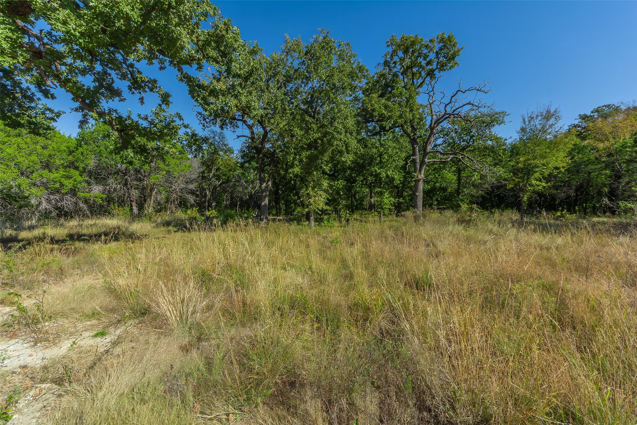 1053 Creek Crossing Road Nemo TX 76070