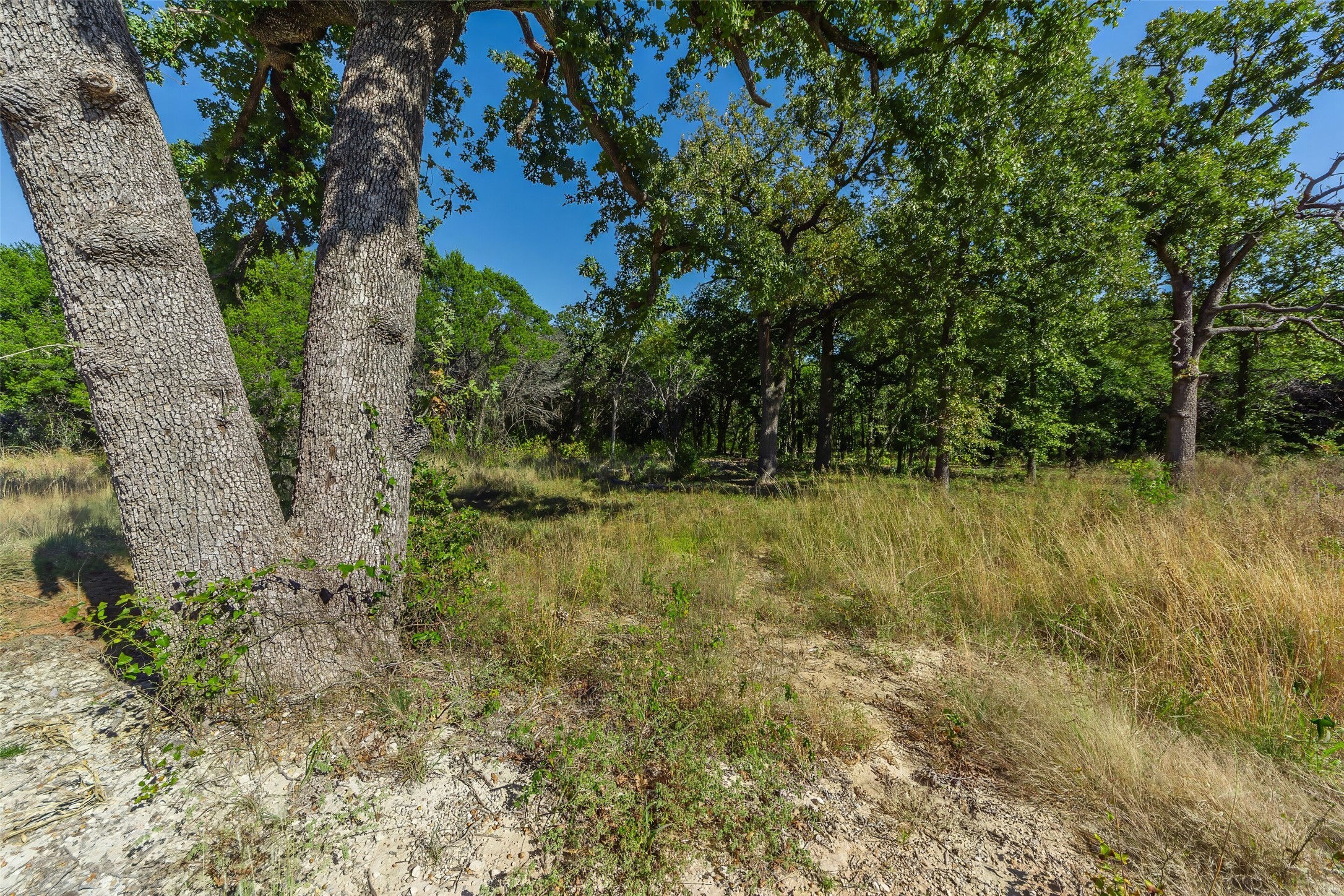 1053 Creek Crossing Road Nemo TX 76070