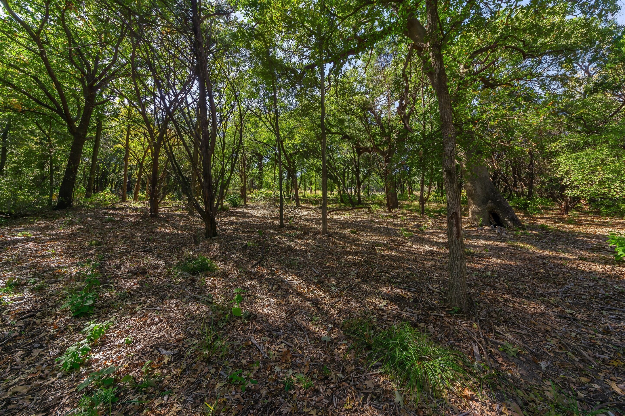 1053 Creek Crossing Road Nemo TX 76070