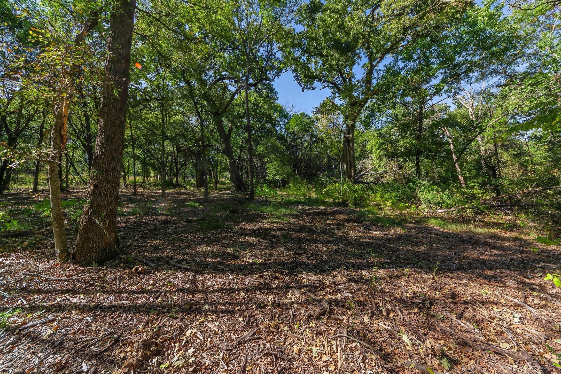 1053 Creek Crossing Road Nemo TX 76070