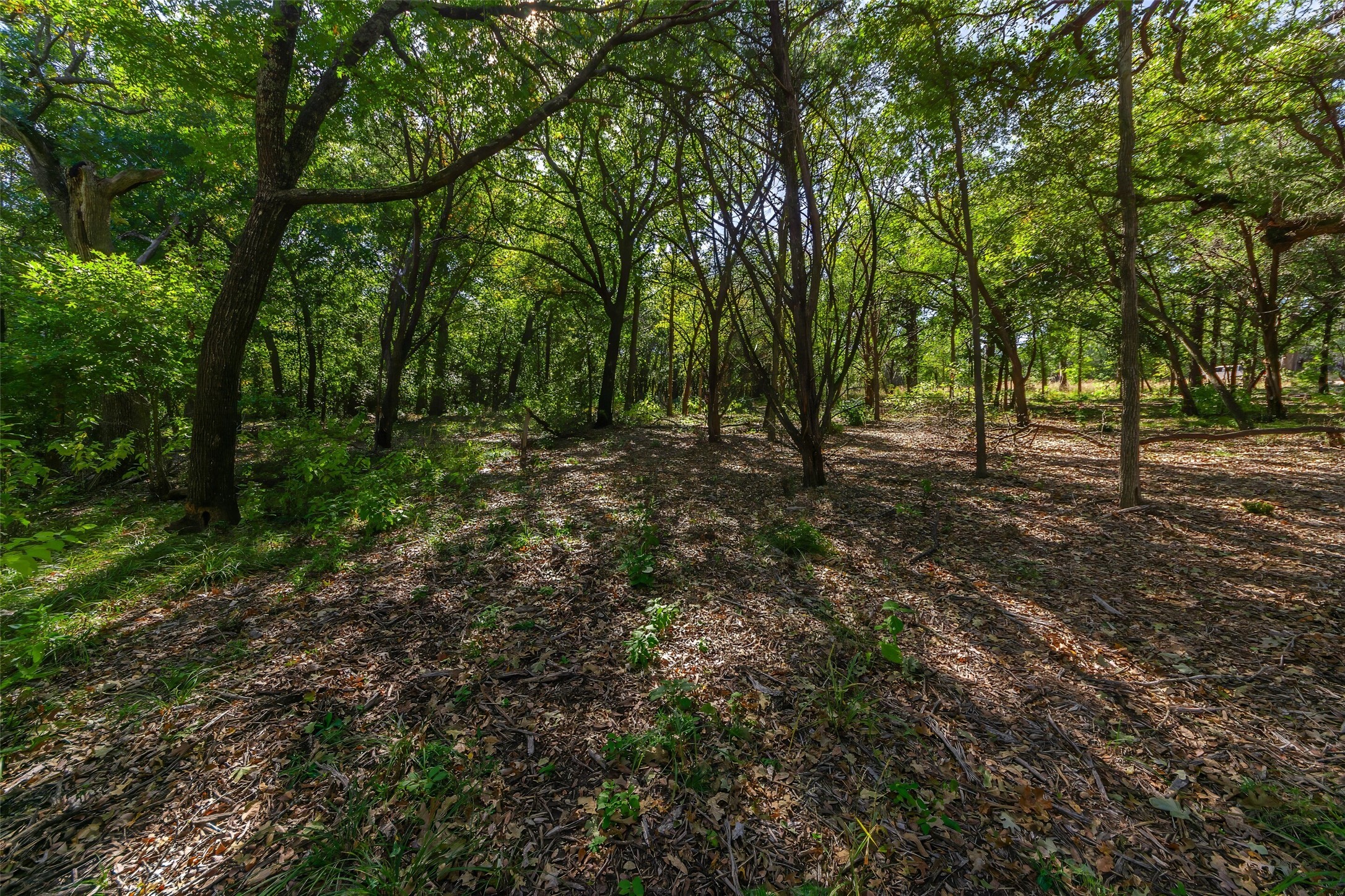 1053 Creek Crossing Road Nemo TX 76070