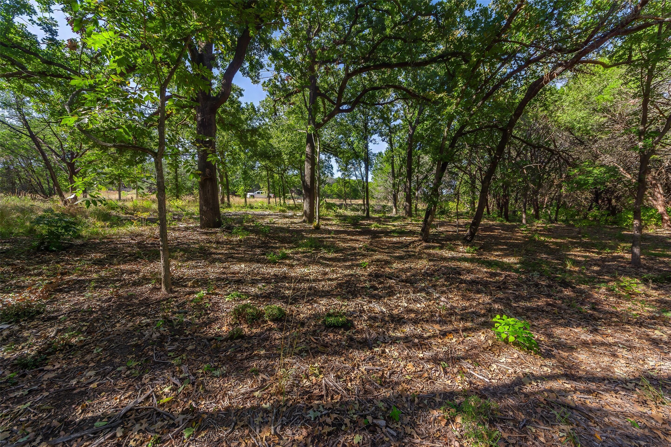 1053 Creek Crossing Road Nemo TX 76070